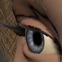 nzxcvbnm